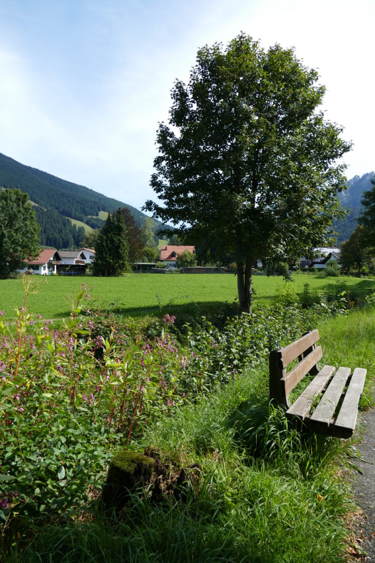 Naturpark, Bayern, Oberammergau, Natur